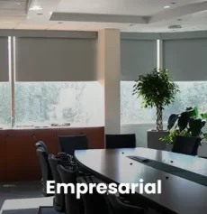 Locais-de-atuação--empresarial